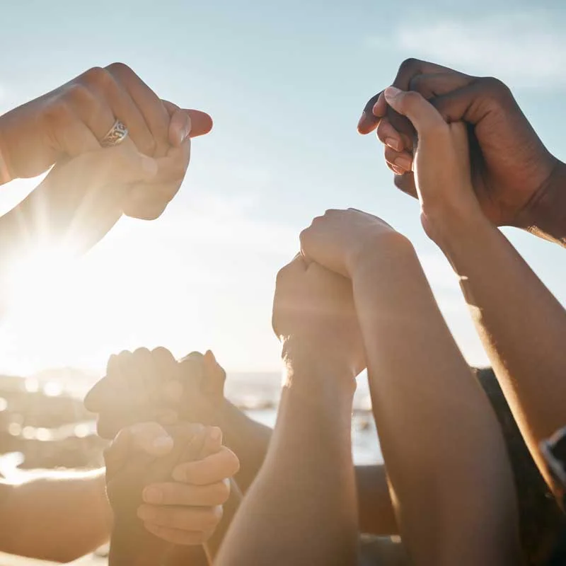 a diverse group of hands held and raised in the air